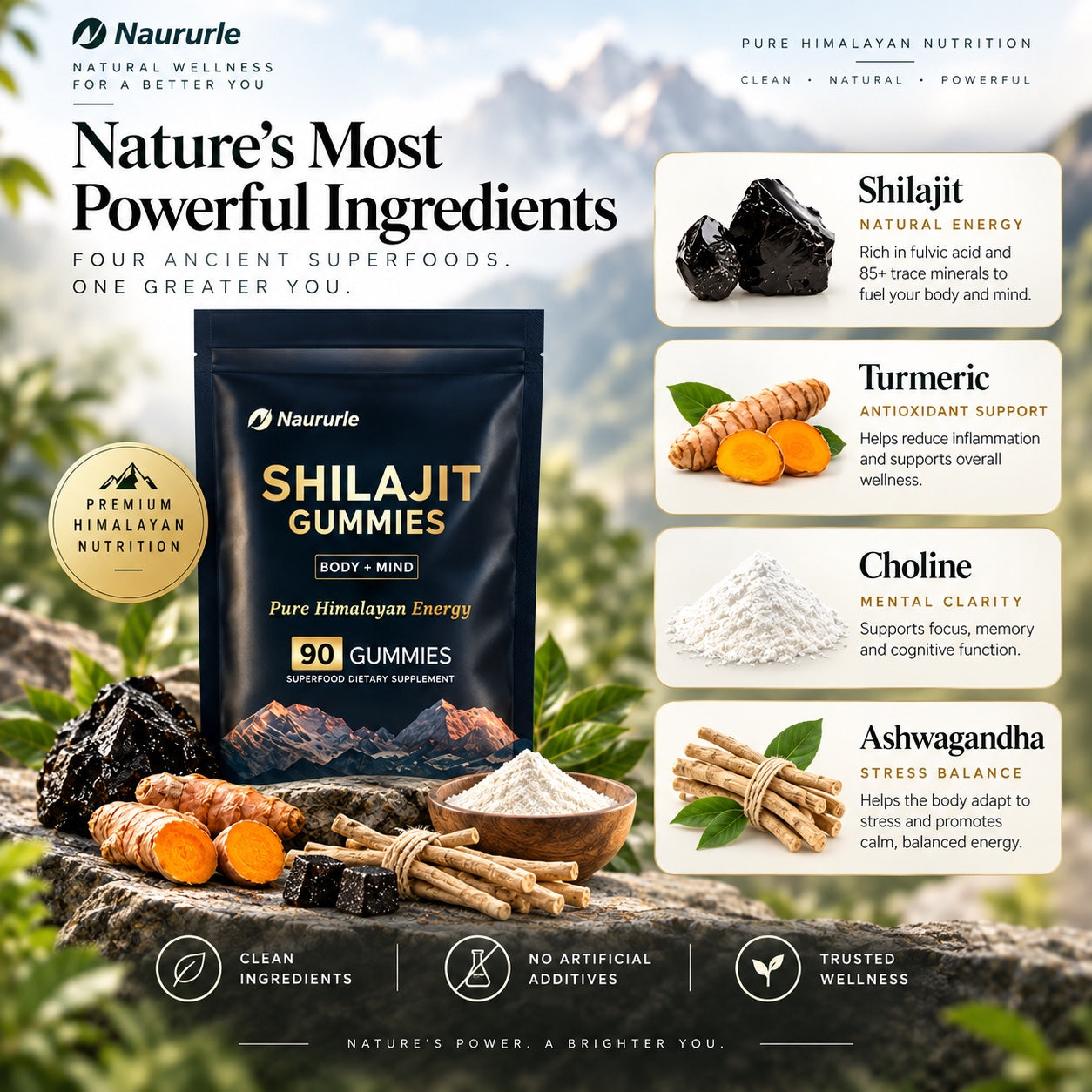 Shilajit Gummies ingredients including shilajit, turmeric, choline, and ashwagandha